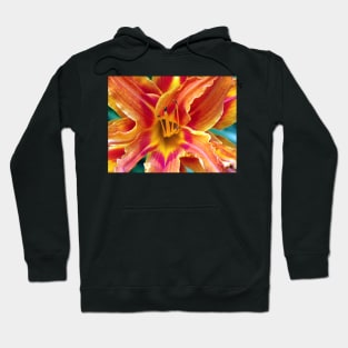 Flower Close Up Orange Lily Bloom Art, Floral Home Decor, Gifts & More! Hoodie